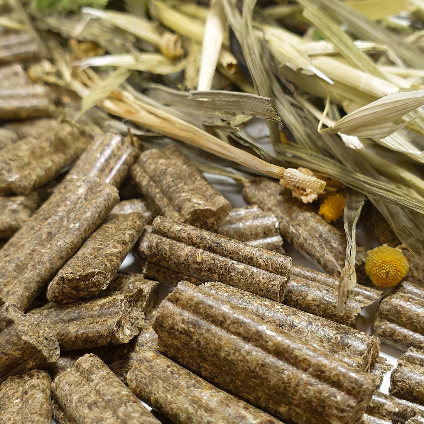 Rabbit Dream HERBS 600g
