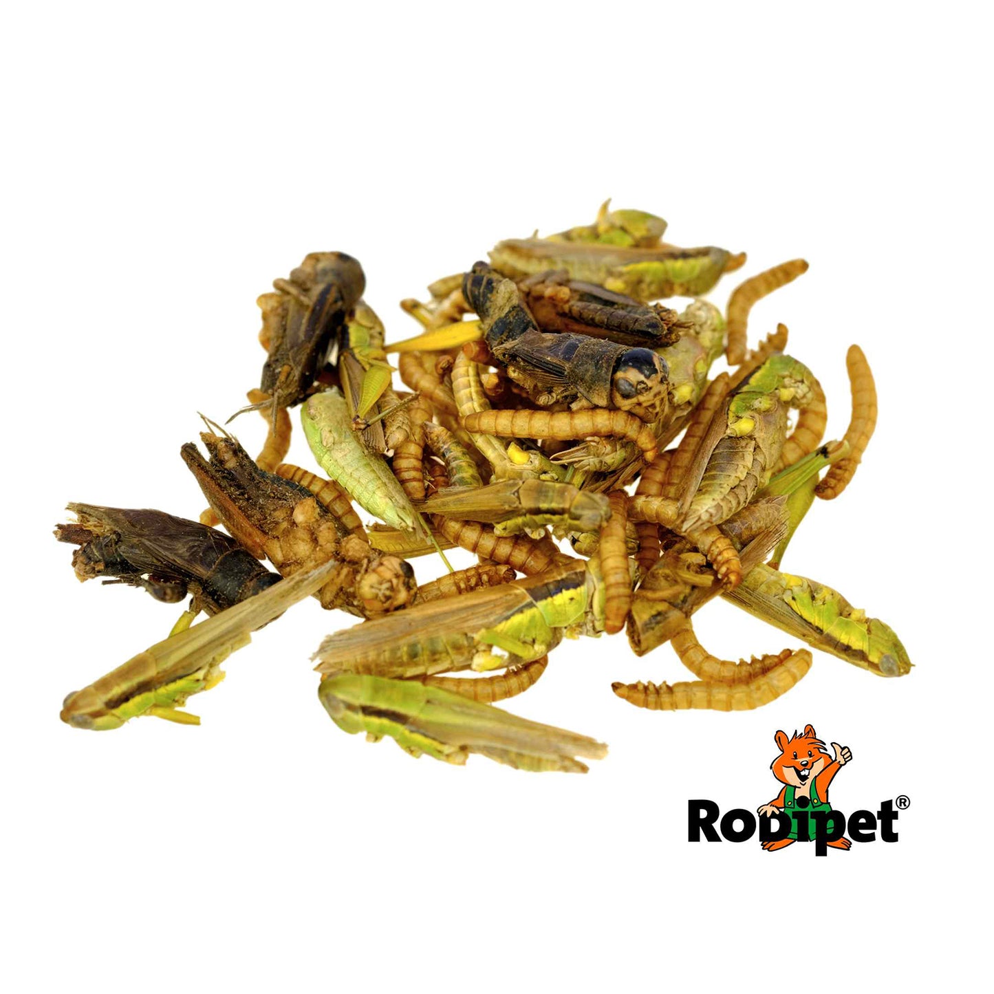 Insect Mix Protein Snack