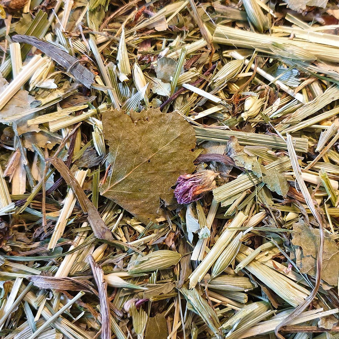 Botanicals Maxi - Mynta och Kamomill
